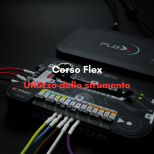 Corso Utilizzo Strumento Flex FULL